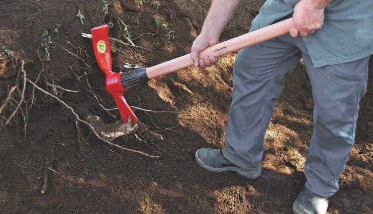 Homem usando uma picareta na terra