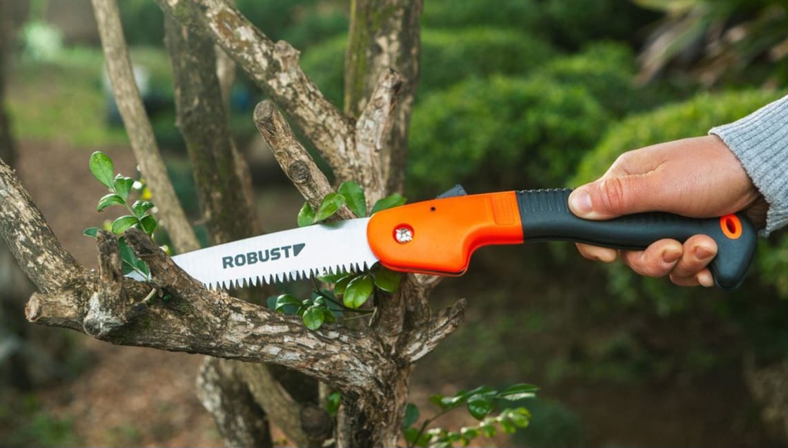 Pessoa segurando um serrote de jardinagem
